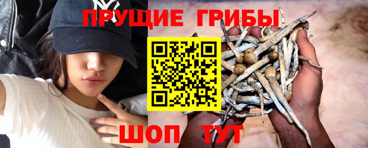 Галлюциногенные грибы мицелий Нижний Новгород