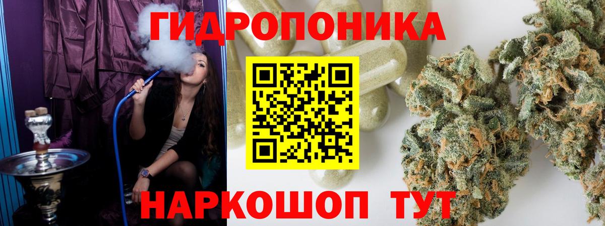 Нижний Новгород  Марихуана план  Вход с VPN  Марихуана White Widow 